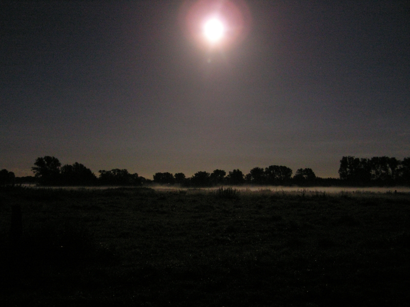 Sachsenhagen 17.09.2005.jpg